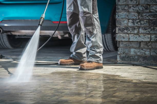 Best Driveway Pressure Washing  in Whitley City, KY
